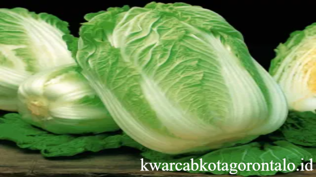 Inilah 8 Manfaat Kubis Napa untuk Kesehatan