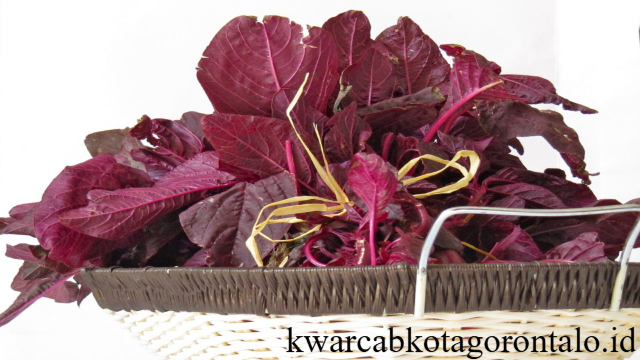 9 Manfaat Bayam Merah untuk Kesehatan